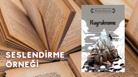 Sesli Kitap - Kuyrukname
