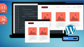 profesyonel  wordpress web sayfası yapabilirim