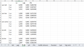 Excel Çalışması