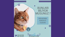 Sosyal Medya Tasarımları