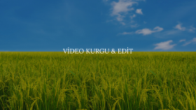 videolarınızı etkileyici ve akıcı şekilde kurgularım