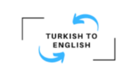 profesyonel ingilizce çeviri yapıyorum