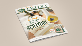 Broşür Tasarım Çalışmaları - 01