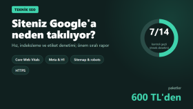 sitenizin teknik SEO denetimini yapıp rapor hazırlarım