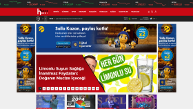 Haberhakki Haber Sitesi Logo Tasarımı