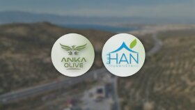 Drone Video Editi
