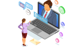 wordpress sitenize teknik destek hizmeti sunuyorum