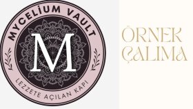  logo tasarımı yaparım