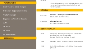 alanınıza uygun CV tasarımı yapabilirim