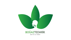 Tedarik Şirketi - Logo Çalışması