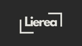 sizin için profesyonel bir logo yapabilirim