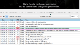 Altyazı çevirisi