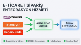 e-ticaret siparişlerini Mikro ERP'ye otomatik entegre ederim