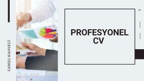 profesyonel cv hazırlarım