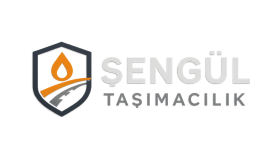 profesyonel logo tasarlarım