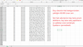 Etsy Sitesinden Halı satıcılarına ait 60.000 veri çektim