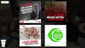 Bionluk Çalışmalarım