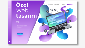 profesyonel web tasarım, kurulum, destek hizmeti vermekteyim
