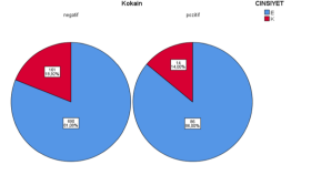 Spss ve Microsoft Word konusunda yardımcı olabilirim