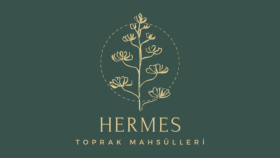 markanıza özel modern ve özgün logo tasarlarım
