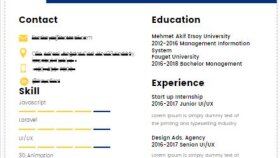 İngilizce ve Türkçe dillerinde Profesyonel Cv