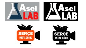 logo tasarımı yapıyorum