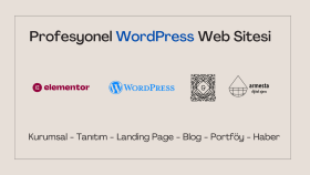 WordPress ile profesyonel kurumsal web siteleri yapıyorum