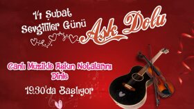 sosyal8