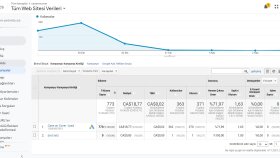 Google Analytics Verileri