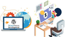 Wordpress için profesyonel destek hizmetleri verebilirim