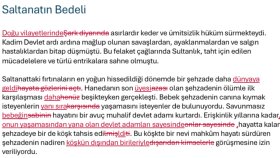 geliştirici editörlük yapabilirim