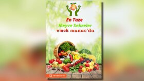 Emek Mavav Broşür Tasarımı