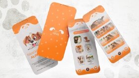 App tasarımı 