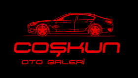 profesyonel logolar tasarlıyorum