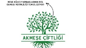 Bazı Logo Tasarımlarım