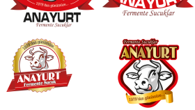 kurumsal logo tasarımaları yaparım
