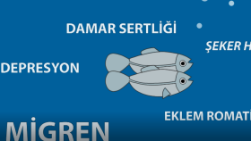 Balık Tüketimi Bilgilendirici Video