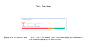 Keyword araştırması ve Backlink Analizi