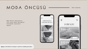 işinizi profesyonel bir web sitesine taşırım