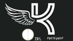 profesyonel logo tasarımı yaparım