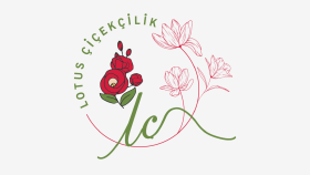 lotus modern, minimalst logo tasarımı