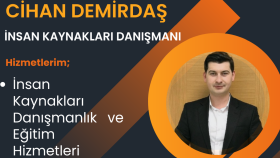 insan kaynakları alanında danışmanlık hizmeti veriyorum