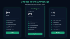 Modern SEO Paket Tasarım Arayüzü (UI/UX & WordPress)