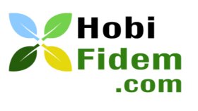 Hobi Fidem