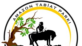 her türlü görselinizi estetik şekilde yapabilirim