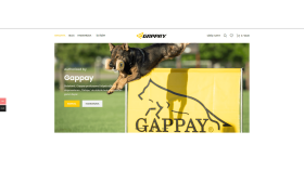 Gappay Web Sitesi
