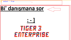 Logo Tiger3 , Go3 ürünlerine destek veririm