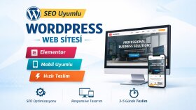 profesyonel SEO uyumlu WordPress web sitesi kurulumu yaparım