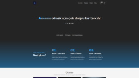 Özel Web Uygulamaları, Yönetim Panelleri ve Arayüzler