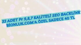 33 BACKLİNK